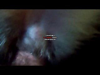 Fnaf Extreme Porn