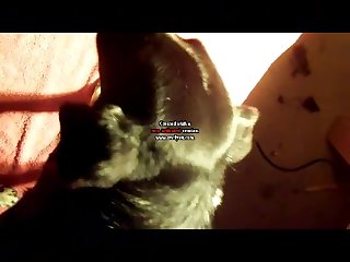 Porn Extreme Slapping
