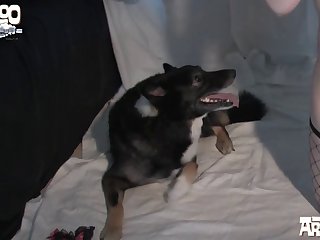 Extreme Face Farting Porn