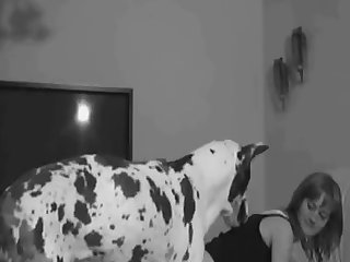 Porn Rape Extreme