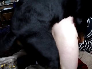 Hardcore Extreme Rape Porn