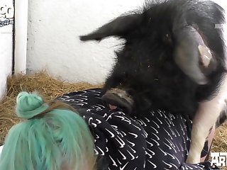 Boner Video pig