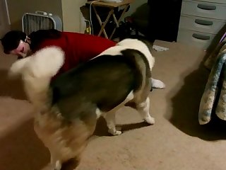 Man Fuck Dog In The Forest