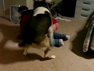 Man Fuck Dog In The Forest