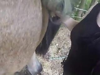 Mom Fuck With Dog