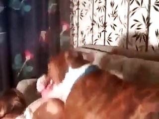 Dog Fuck Big Ass Girl Porn