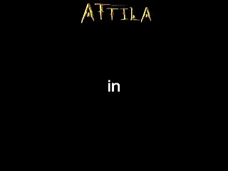 Artofzoo Leaks