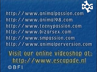 Slut Puppies 9