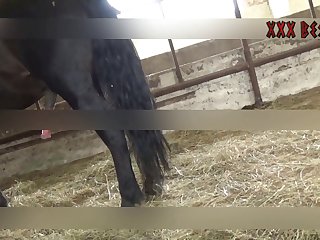 Best Animal To Have Sex With