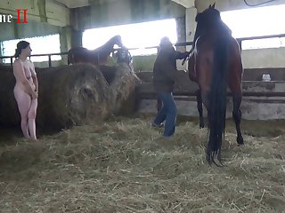 Animal Kingdom Gay Sex