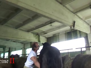 Woman With Animal Sex