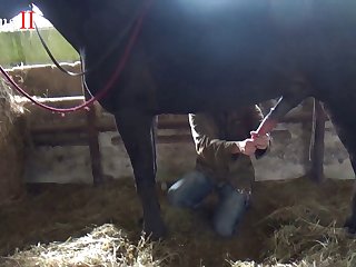 Sex Animal And Man