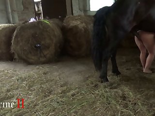 Bokep Animal Sex
