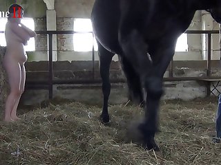 Man Having Sex With A Animal