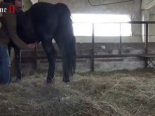 Man Having Sex With A Animal