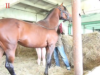 Women Sex With Animal Porn