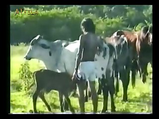 Www Animal Sex Fun Com