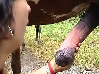 Taboo Girl Animal Sex