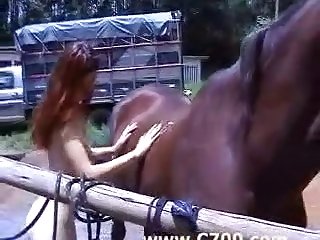 Sex With Animal Called