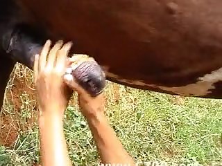 Homemade Animal Sex Movie Dog Fuck Katarina Teen