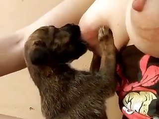 White Girl Fucks Dog Porn