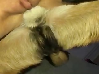 Hall Of The Bestiarii