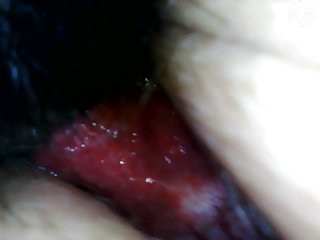 Ts Dog Porn