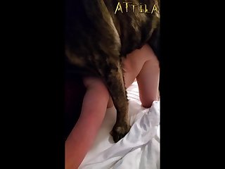 Catalyia Zoo Porn