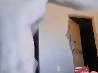 Porno Zoophilie Amateur