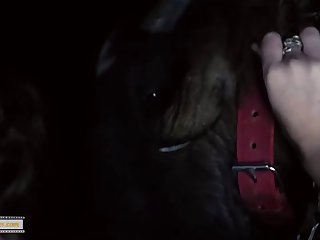 Tranny Fuck Dog Porn