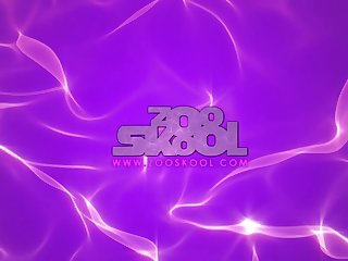 Art Of Zoo Porm