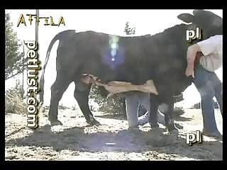 Petlust M11 2 Zoo Bull Sex Farm Boys Part 7