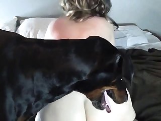 Free Pillustius Vixen Xxx Video