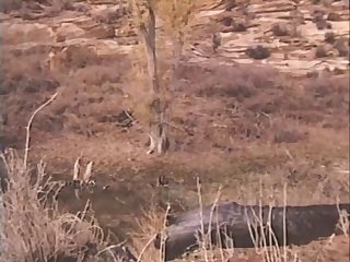 A Dirty Western 1975 Hd