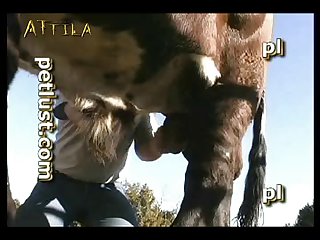 Petlust M11 2 Zoo Bull Sex Farm Boys Part 1