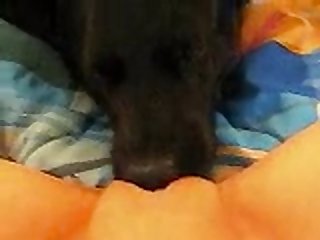 Slit And Buried Her Lips Around It. She Could Feel The